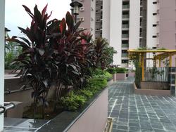 Blk 79B Toa Payoh Central (Toa Payoh), HDB 4 Rooms #121617312